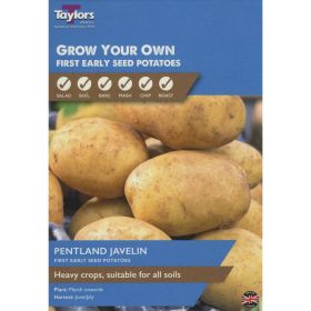 Pentland Javelin Seed Potatoes Taster Pack of 10
